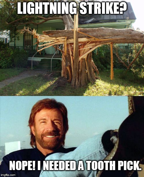 Chuck Norris Was Here | LIGHTNING STRIKE? NOPE! I NEEDED A TOOTH PICK. | image tagged in chuck norris,chuck norris approves,tree,explode | made w/ Imgflip meme maker