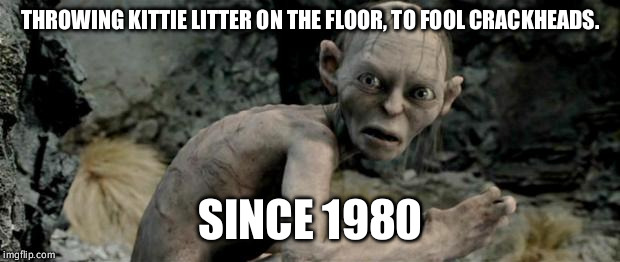 My Precious |  THROWING KITTIE LITTER ON THE FLOOR, TO FOOL CRACKHEADS. SINCE 1980 | image tagged in my precious | made w/ Imgflip meme maker