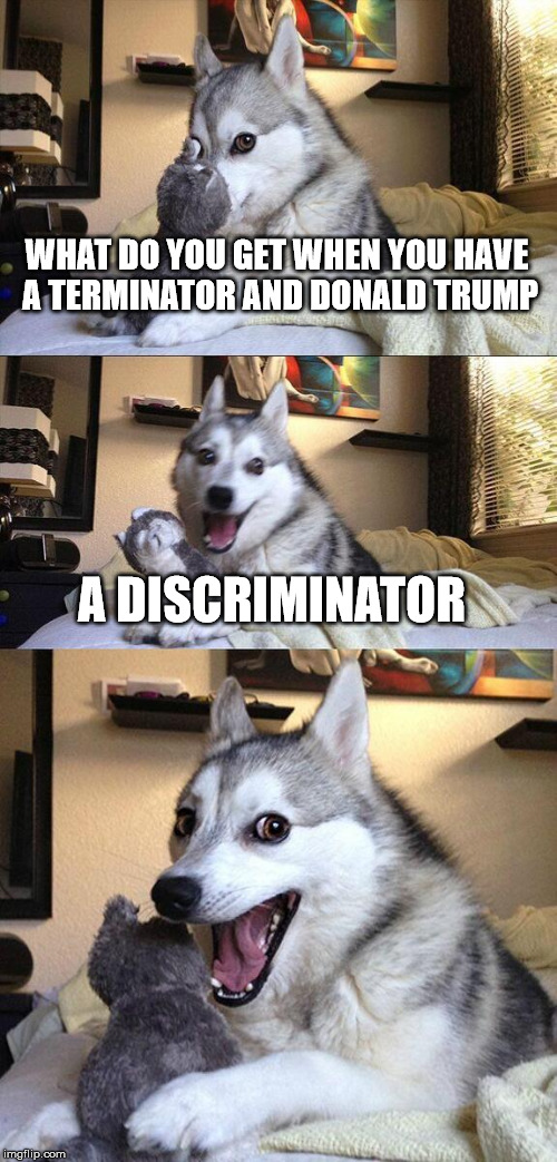 Bad Pun Dog Meme | WHAT DO YOU GET WHEN YOU HAVE A TERMINATOR AND DONALD TRUMP; A DISCRIMINATOR | image tagged in memes,bad pun dog | made w/ Imgflip meme maker