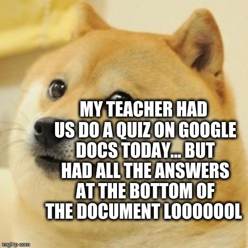 Doge Meme | MY TEACHER HAD US DO A QUIZ ON GOOGLE DOCS TODAY... BUT HAD ALL THE ANSWERS AT THE BOTTOM OF THE DOCUMENT LOOOOOOL | image tagged in memes,doge | made w/ Imgflip meme maker