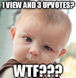 Skeptical Baby Meme | 1 VIEW AND 3 UPVOTES? WTF??? | image tagged in memes,skeptical baby | made w/ Imgflip meme maker