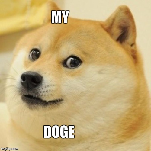Doge | MY; DOGE | image tagged in memes,doge | made w/ Imgflip meme maker