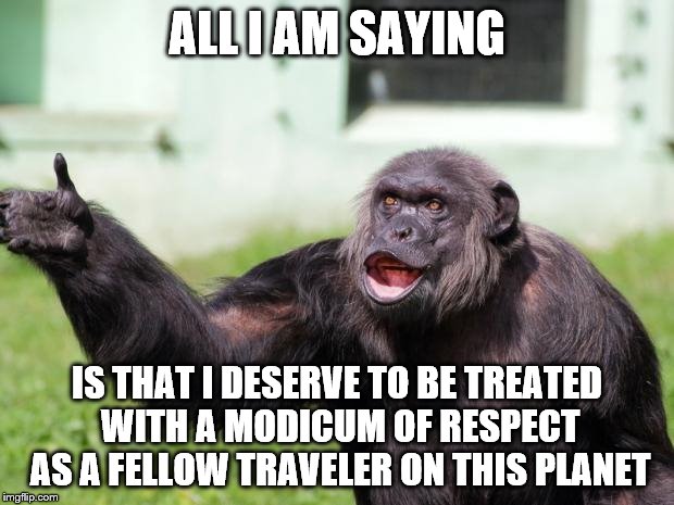 Angry Supervisor Monkey | ALL I AM SAYING; IS THAT I DESERVE TO BE TREATED WITH A MODICUM OF RESPECT AS A FELLOW TRAVELER ON THIS PLANET | image tagged in angry supervisor monkey | made w/ Imgflip meme maker