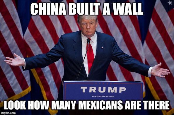 Donald Trump | CHINA BUILT A WALL; LOOK HOW MANY MEXICANS ARE THERE | image tagged in donald trump | made w/ Imgflip meme maker