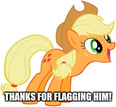 Applejack says something | THANKS FOR FLAGGING HIM! | image tagged in applejack says something | made w/ Imgflip meme maker