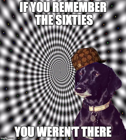 The Sixties | IF YOU REMEMBER THE SIXTIES; YOU WEREN'T THERE | image tagged in 60s,1960s,tripping,dog,if you remember the 60s you weren't there | made w/ Imgflip meme maker
