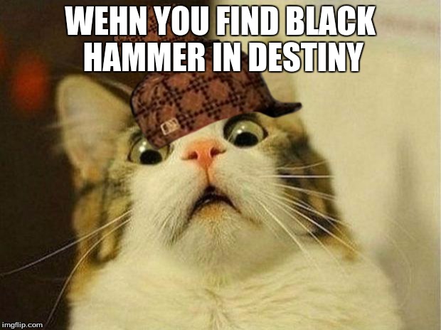 Scared Cat | WEHN YOU FIND BLACK HAMMER IN DESTINY | image tagged in memes,scared cat,scumbag | made w/ Imgflip meme maker