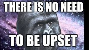 THERE IS NO NEED TO BE UPSET | made w/ Imgflip meme maker