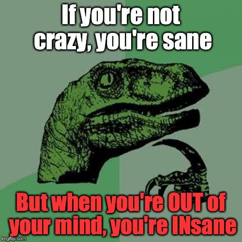 Philosoraptor | If you're not crazy, you're sane; But when you're OUT of your mind, you're INsane | image tagged in memes,philosoraptor | made w/ Imgflip meme maker