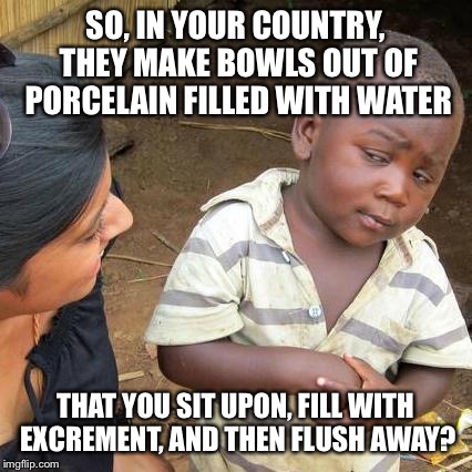 Third World Skeptical Kid Meme | SO, IN YOUR COUNTRY, THEY MAKE BOWLS OUT OF PORCELAIN FILLED WITH WATER THAT YOU SIT UPON, FILL WITH EXCREMENT, AND THEN FLUSH AWAY? | image tagged in memes,third world skeptical kid | made w/ Imgflip meme maker