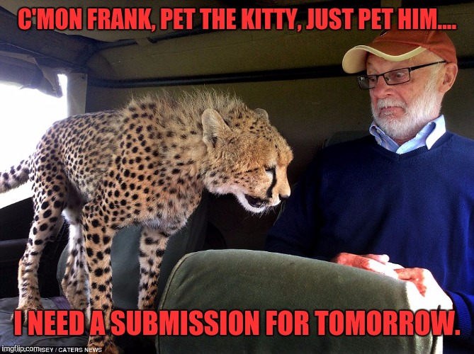 C'MON FRANK, PET THE KITTY, JUST PET HIM.... I NEED A SUBMISSION FOR TOMORROW. | made w/ Imgflip meme maker