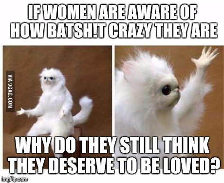 Maybe self-awareness negates their insanity; in which case, they're just spoiled brats. | IF WOMEN ARE AWARE OF HOW BATSH!T CRAZY THEY ARE; WHY DO THEY STILL THINK THEY DESERVE TO BE LOVED? | image tagged in strange wtf cat | made w/ Imgflip meme maker