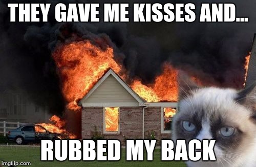 Burn Kitty Meme | THEY GAVE ME KISSES AND... RUBBED MY BACK | image tagged in memes,burn kitty | made w/ Imgflip meme maker