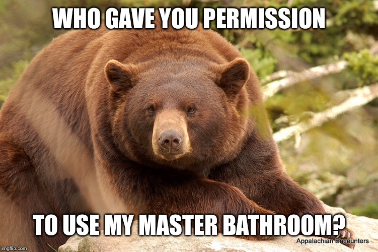 WHO GAVE YOU PERMISSION TO USE MY MASTER BATHROOM? | made w/ Imgflip meme maker