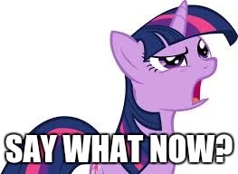 twilight confused | SAY WHAT NOW? | image tagged in twilight confused | made w/ Imgflip meme maker