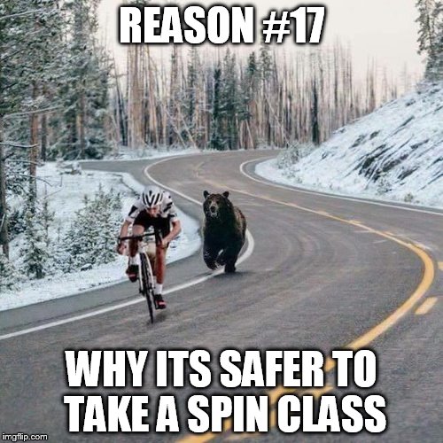 Bike Bear | REASON #17; WHY ITS SAFER TO TAKE A SPIN CLASS | image tagged in bike bear | made w/ Imgflip meme maker