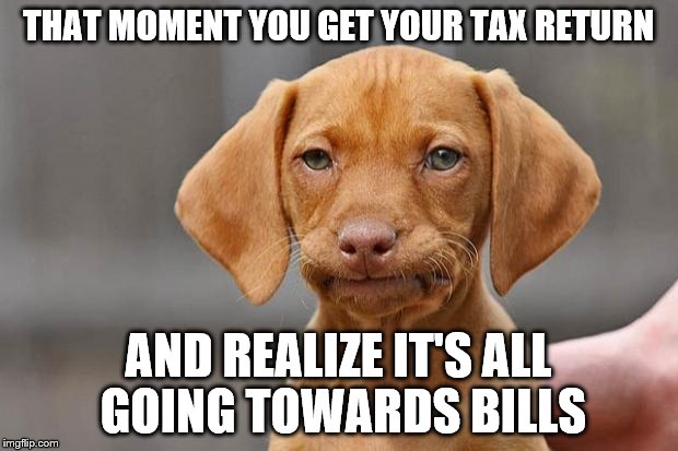 Unimpressed Vizsla | THAT MOMENT YOU GET YOUR TAX RETURN; AND REALIZE IT'S ALL GOING TOWARDS BILLS | image tagged in unimpressed vizsla | made w/ Imgflip meme maker