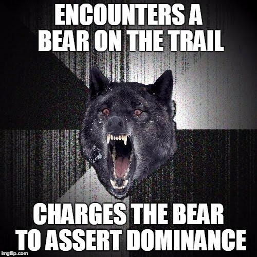 Insanity Wolf Meme | ENCOUNTERS A BEAR ON THE TRAIL; CHARGES THE BEAR TO ASSERT DOMINANCE | image tagged in memes,insanity wolf | made w/ Imgflip meme maker