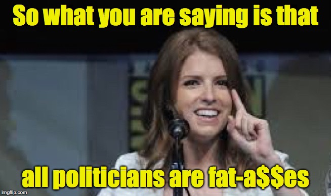 Condescending Anna | So what you are saying is that all politicians are fat-a$$es | image tagged in condescending anna | made w/ Imgflip meme maker