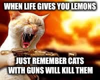 Kitty w/Guns | WHEN LIFE GIVES YOU LEMONS; JUST REMEMBER CATS WITH GUNS WILL KILL THEM | image tagged in kitty w/guns | made w/ Imgflip meme maker