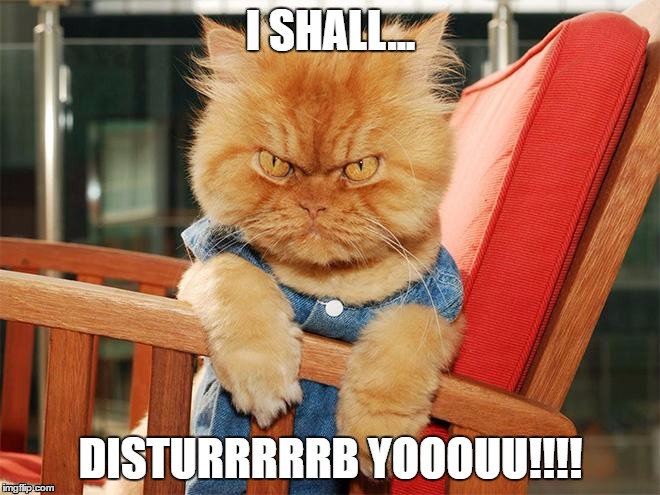 Grumpy Cat | I SHALL... DISTURRRRRB YOOOUU!!!! | image tagged in grumpy cat,disturbed | made w/ Imgflip meme maker