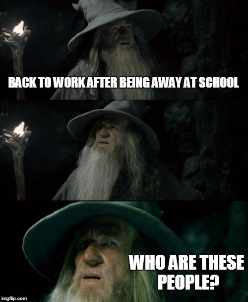 Did they fire EVERYONE while I was gone? | BACK TO WORK AFTER BEING AWAY AT SCHOOL; WHO ARE THESE PEOPLE? | image tagged in memes,confused gandalf | made w/ Imgflip meme maker