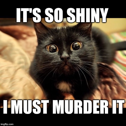 Cat Murder | IT'S SO SHINY; I MUST MURDER IT | image tagged in cats,funny | made w/ Imgflip meme maker