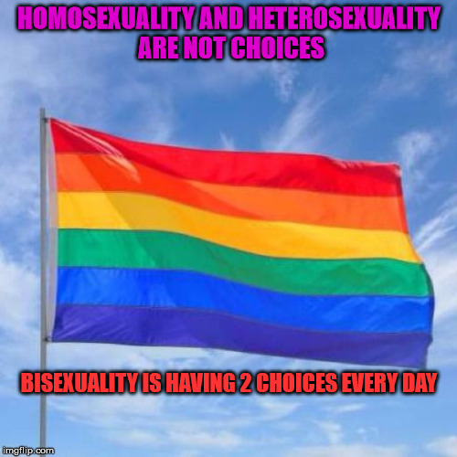 Gay pride flag | HOMOSEXUALITY AND HETEROSEXUALITY ARE NOT CHOICES; BISEXUALITY IS HAVING 2 CHOICES EVERY DAY | image tagged in gay pride flag | made w/ Imgflip meme maker