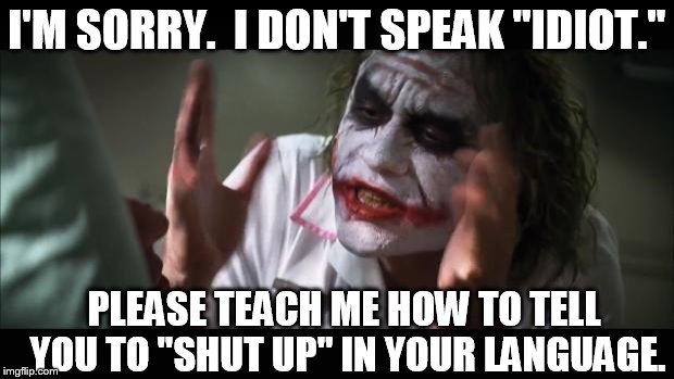 I don't speak "IDIOT!" | I'M SORRY.  I DON'T SPEAK "IDIOT."; PLEASE TEACH ME HOW TO TELL YOU TO "SHUT UP" IN YOUR LANGUAGE. | image tagged in memes,and everybody loses their minds | made w/ Imgflip meme maker