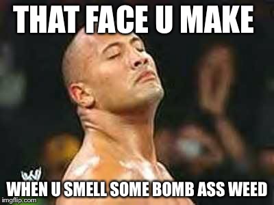 Rock face  | THAT FACE U MAKE; WHEN U SMELL SOME BOMB ASS WEED | image tagged in funny meme | made w/ Imgflip meme maker