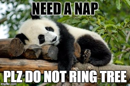 sleeping panda | NEED A NAP; PLZ DO NOT RING TREE | image tagged in sleeping panda | made w/ Imgflip meme maker
