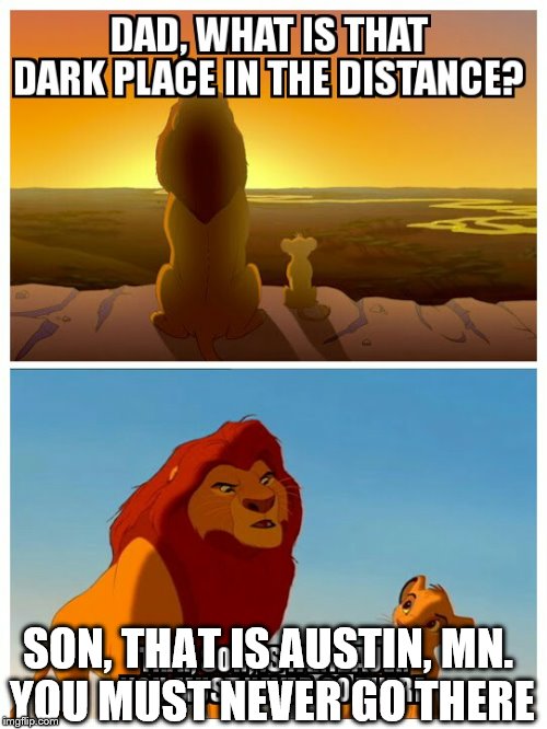 SON, THAT IS AUSTIN, MN. YOU MUST NEVER GO THERE | image tagged in austin,the lion king | made w/ Imgflip meme maker