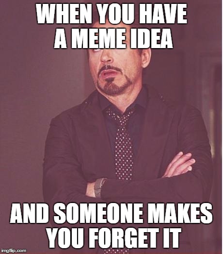 Ugh I think i forgot another meme | WHEN YOU HAVE A MEME IDEA; AND SOMEONE MAKES YOU FORGET IT | image tagged in memes,face you make robert downey jr | made w/ Imgflip meme maker