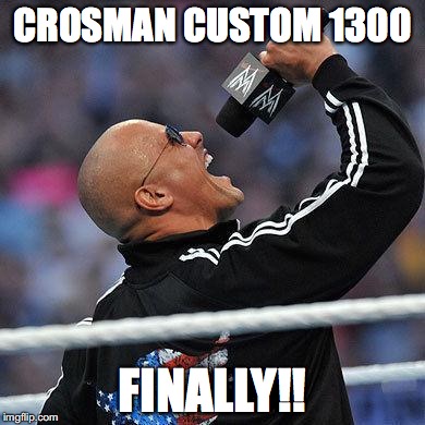 Finally The Rock | CROSMAN CUSTOM 1300; FINALLY!! | image tagged in finally the rock | made w/ Imgflip meme maker