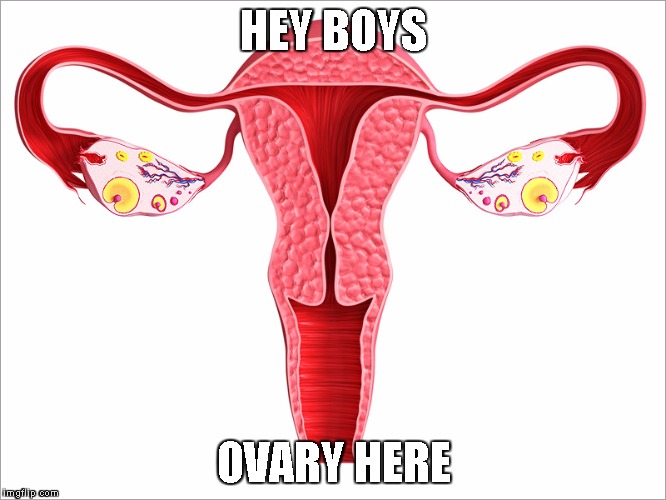 Uterus jokes | HEY BOYS; OVARY HERE | image tagged in uterus jokes | made w/ Imgflip meme maker