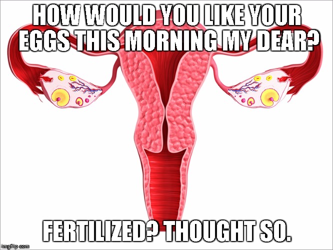 Uterus jokes | HOW WOULD YOU LIKE YOUR EGGS THIS MORNING MY DEAR? FERTILIZED? THOUGHT SO. | image tagged in uterus jokes | made w/ Imgflip meme maker