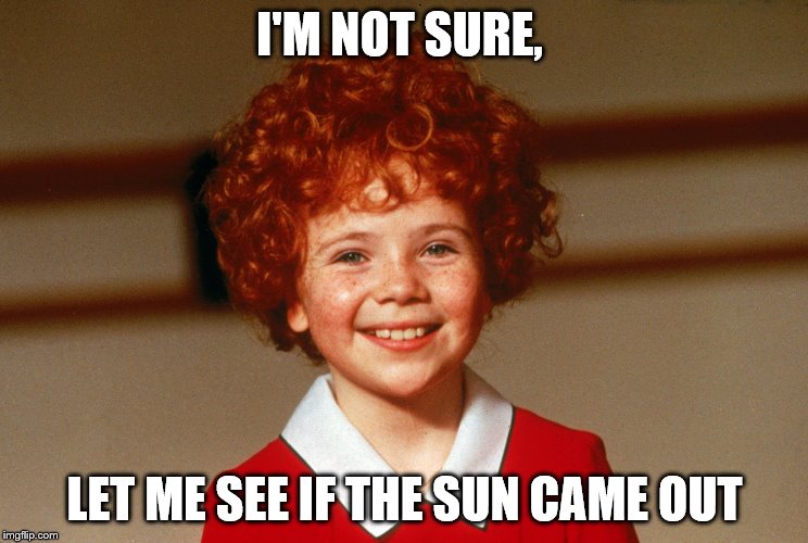 I'M NOT SURE, LET ME SEE IF THE SUN CAME OUT | made w/ Imgflip meme maker