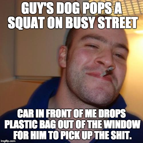 Good Guy Greg | GUY'S DOG POPS A SQUAT ON BUSY STREET; CAR IN FRONT OF ME DROPS PLASTIC BAG OUT OF THE WINDOW FOR HIM TO PICK UP THE SHIT. | image tagged in memes,good guy greg | made w/ Imgflip meme maker