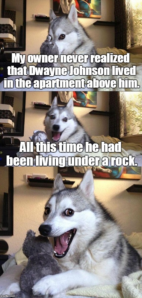 Bad Pun Dog | My owner never realized that Dwayne Johnson lived in the apartment above him. All this time he had been living under a rock. | image tagged in memes,bad pun dog | made w/ Imgflip meme maker