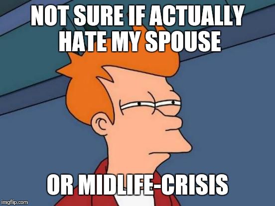 Futurama Fry | NOT SURE IF ACTUALLY HATE MY SPOUSE; OR MIDLIFE-CRISIS | image tagged in memes,futurama fry | made w/ Imgflip meme maker