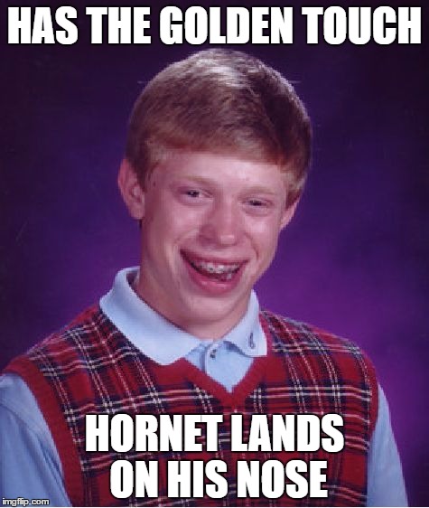 Bad Luck Brian | HAS THE GOLDEN TOUCH; HORNET LANDS ON HIS NOSE | image tagged in memes,bad luck brian | made w/ Imgflip meme maker