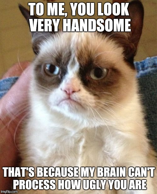 this is what grumpy cat thinks of you | TO ME, YOU LOOK VERY HANDSOME; THAT'S BECAUSE MY BRAIN CAN'T PROCESS HOW UGLY YOU ARE | image tagged in memes,grumpy cat | made w/ Imgflip meme maker