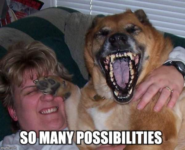 laughing dog | SO MANY POSSIBILITIES | image tagged in laughing dog | made w/ Imgflip meme maker