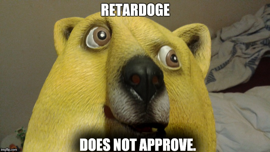 Retardoge | RETARDOGE; DOES NOT APPROVE. | image tagged in doge,retardoge | made w/ Imgflip meme maker