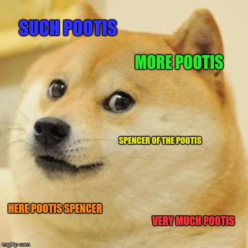 Doge | SUCH POOTIS; MORE POOTIS; SPENCER OF THE POOTIS; HERE POOTIS SPENCER; VERY MUCH POOTIS | image tagged in memes,doge | made w/ Imgflip meme maker