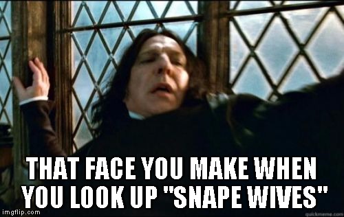 Snape | THAT FACE YOU MAKE WHEN YOU LOOK UP "SNAPE WIVES" | image tagged in memes,snape | made w/ Imgflip meme maker
