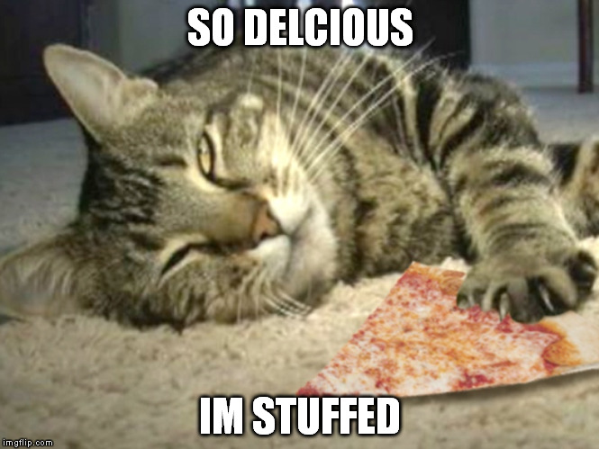 SO DELCIOUS; IM STUFFED | made w/ Imgflip meme maker