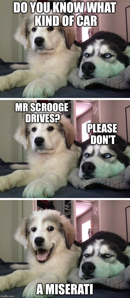 Bad pun dogs | DO YOU KNOW WHAT KIND OF CAR; MR SCROOGE DRIVES? PLEASE DON'T; A MISERATI | image tagged in bad pun dogs | made w/ Imgflip meme maker