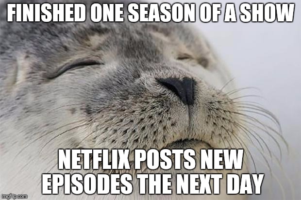Satisfied Seal | FINISHED ONE SEASON OF A SHOW; NETFLIX POSTS NEW EPISODES THE NEXT DAY | image tagged in memes,satisfied seal,AdviceAnimals | made w/ Imgflip meme maker