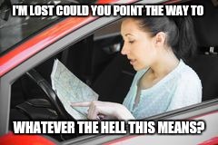 I'M LOST COULD YOU POINT THE WAY TO WHATEVER THE HELL THIS MEANS? | made w/ Imgflip meme maker